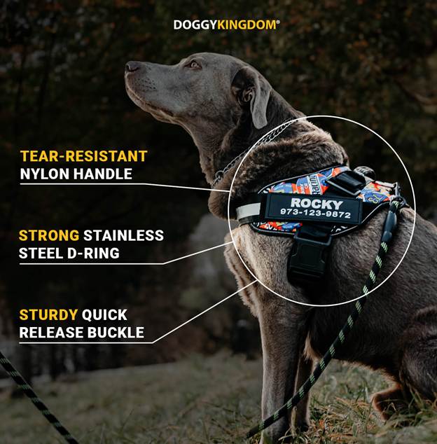 How to Choose the Right Dog Travel Gear and Non-Pull Dog Harness for Comfort
